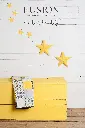LITTLE-STAR-2.webp