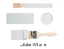 T2LITTLEWHALE.webp