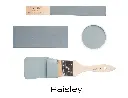 T2-Paisley.webp