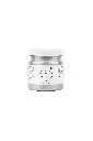 fusion_mineral_paint-silver-250.webp