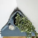 meuble de coin Paisley fusion mineral paint l_atelier d_ama3.webp