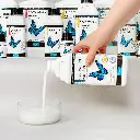 Polyvine vernis Dead Flat 500ml l'aterlier d'ama 1.webp