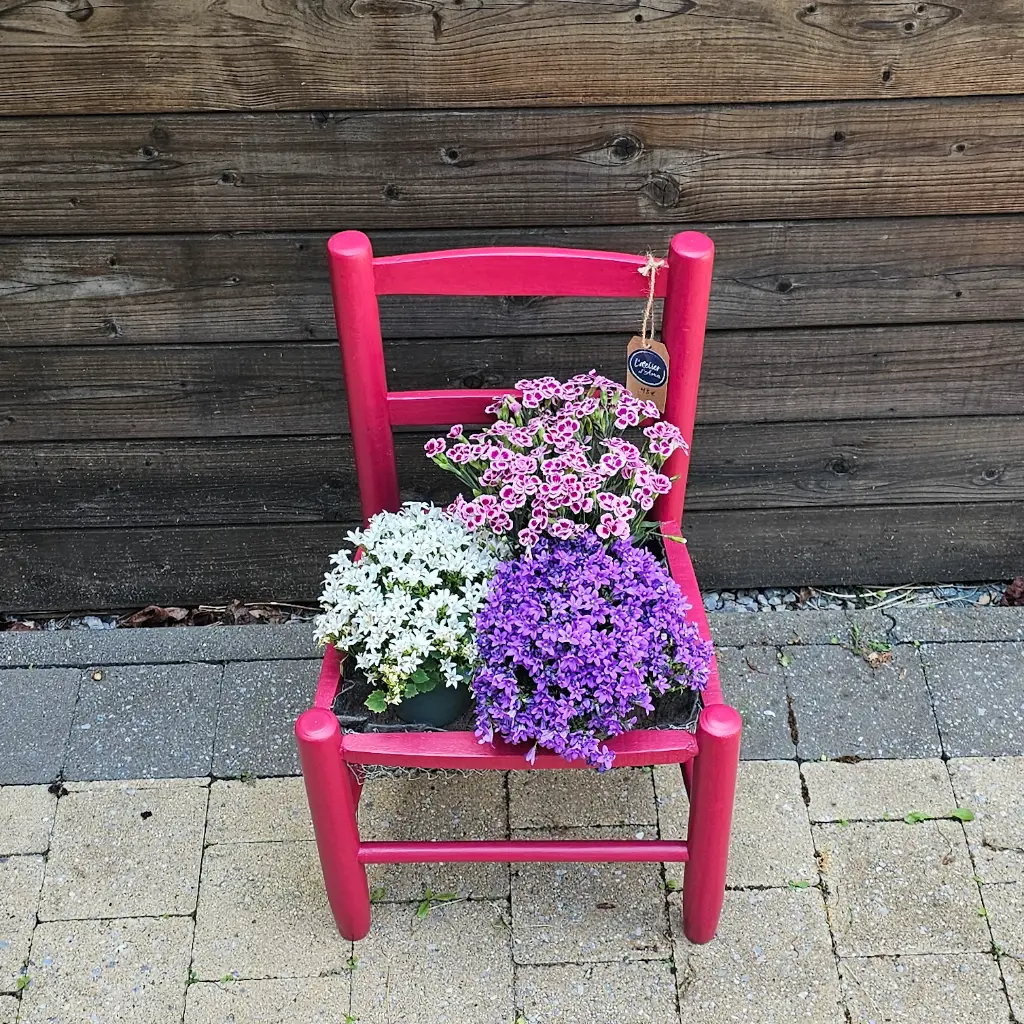 jardiniere Raspberry Fusion Mineral Paint latelierdama3.webp
