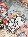 MOULD-return-to-wonderland-FAIRLYLAND-FUNGI-03 latelierdama.webp