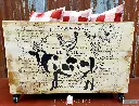 TRANSFER-LARGE-FARM-DELIGHTS-04 latelierdama.webp