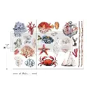 TRANSFER-6X12-AMAZING-SEA-LIFE-01 latelierdama.webp