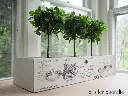 TRANSFER-LARGE-PARIS-VALLEY-03 latelierdama.webp