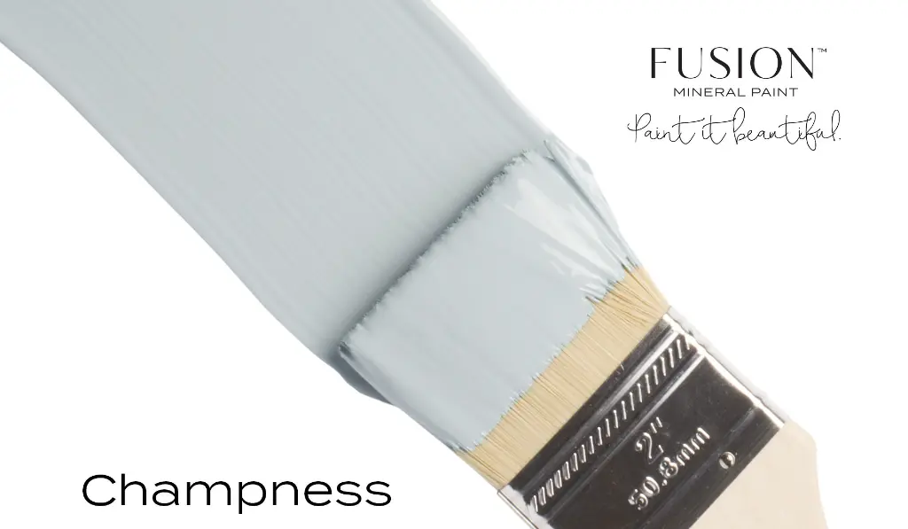 T4CHAMPNESS.webp