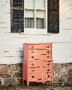 CORAL-PENNEY-AND-CO.webp