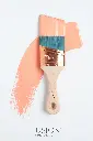 CORAL-1.webp
