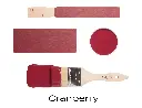 T2CRANBERRY.webp