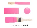 T2CURIOUSLYPINK.webp