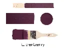 TT2-Elderberry.webp