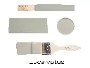 T2-Eucalyptus.webp