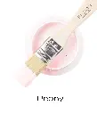 Peony 37ml