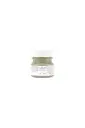 Fusion Mineral Paint - Acadia Pear 37ml