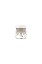 Fusion Mineral Paint - Cathedral Taupe 37ml