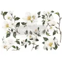 Petit transfert décoratif - White Magnolia