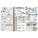 Petit transfert décoratif - Spring Dragonfly