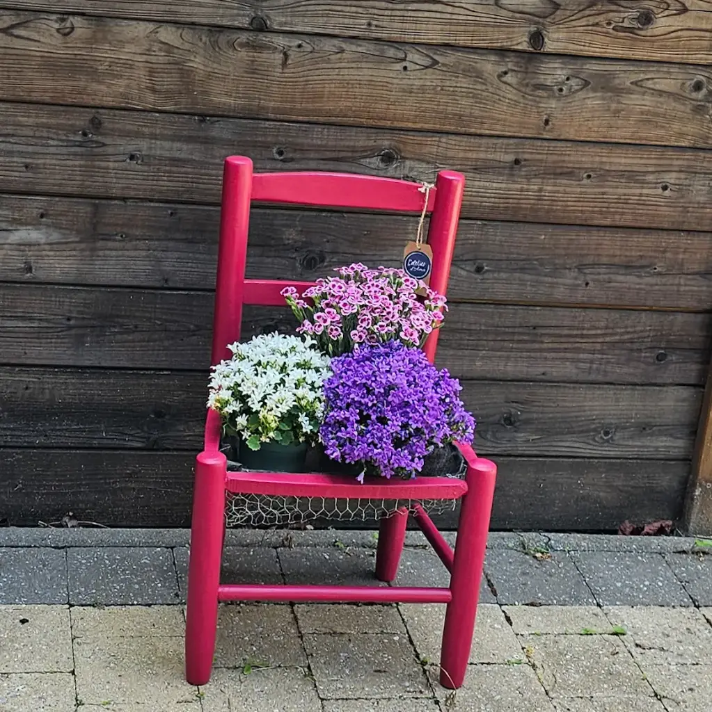 Jardinière Raspberry