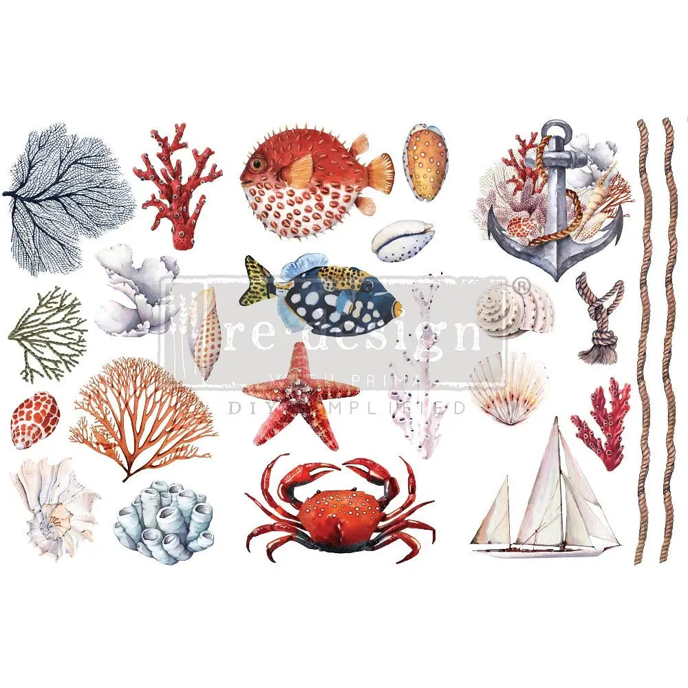 Redesign transfert pelliculable - Amazing Sealife