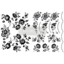 Redesign H2O transfert A4 - Blossomy 