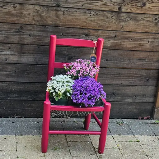 Jardinière Raspberry